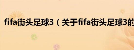 fifa街头足球3（关于fifa街头足球3的介绍）