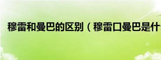 穆雷和曼巴的区别（穆雷口曼巴是什么梗）