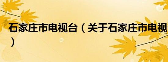 石家庄市电视台（关于石家庄市电视台的介绍）