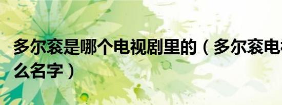 多尔衮是哪个电视剧里的（多尔衮电视剧叫什么名字）