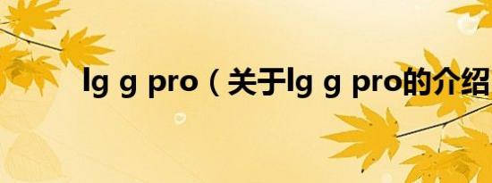 lg g pro（关于lg g pro的介绍）