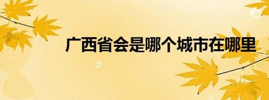 广西省会是哪个城市在哪里