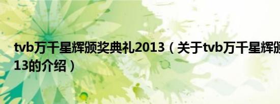 tvb万千星辉颁奖典礼2013（关于tvb万千星辉颁奖典礼2013的介绍）