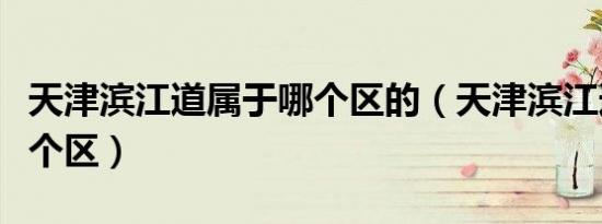 天津滨江道属于哪个区的（天津滨江道属于哪个区）