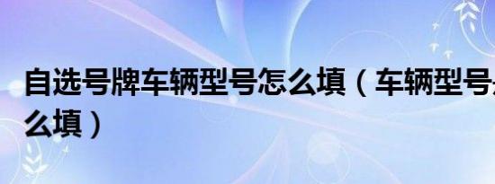 自选号牌车辆型号怎么填（车辆型号是什么怎么填）