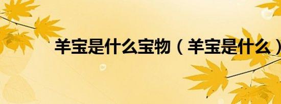 羊宝是什么宝物（羊宝是什么）