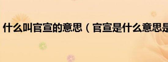 什么叫官宣的意思（官宣是什么意思是什么）
