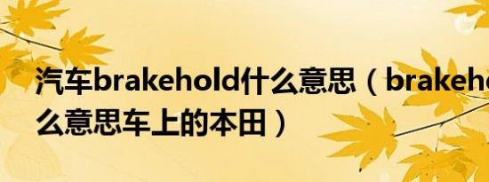 汽车brakehold什么意思（brakehold是什么意思车上的本田）