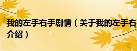 我的左手右手剧情（关于我的左手右手剧情的介绍）