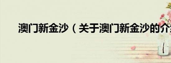 澳门新金沙（关于澳门新金沙的介绍）