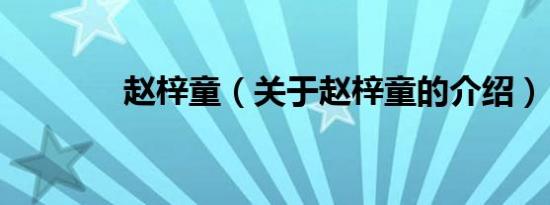 赵梓童（关于赵梓童的介绍）