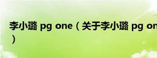 李小璐 pg one（关于李小璐 pg one的介绍）