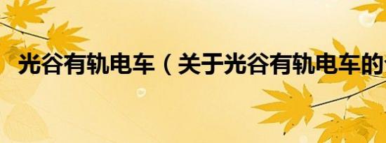 光谷有轨电车（关于光谷有轨电车的介绍）