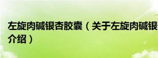 左旋肉碱银杏胶囊（关于左旋肉碱银杏胶囊的介绍）