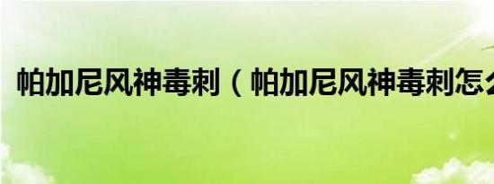 帕加尼风神毒刺（帕加尼风神毒刺怎么样?）
