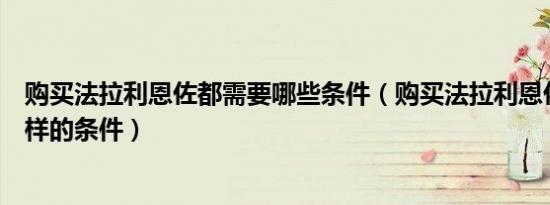 购买法拉利恩佐都需要哪些条件（购买法拉利恩佐需要什么样的条件）