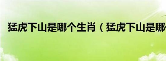 猛虎下山是哪个生肖（猛虎下山是哪一肖）