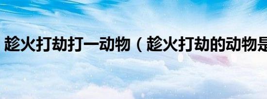 趁火打劫打一动物（趁火打劫的动物是什么）