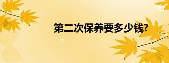 第二次保养要多少钱?