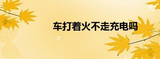 车打着火不走充电吗
