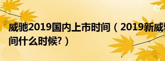 威驰2019国内上市时间（2019新威驰上市时间什么时候?）