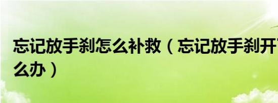 忘记放手刹怎么补救（忘记放手刹开了一段怎么办）