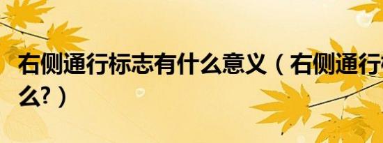 右侧通行标志有什么意义（右侧通行标志是什么?）
