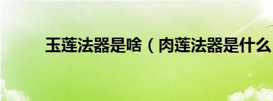 玉莲法器是啥（肉莲法器是什么）