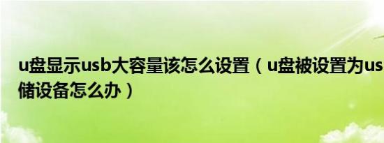 u盘显示usb大容量该怎么设置（u盘被设置为usb大容量存储设备怎么办）
