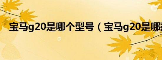 宝马g20是哪个型号（宝马g20是哪款车）