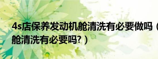 4s店保养发动机舱清洗有必要做吗（发动机舱清洗有必要吗?）