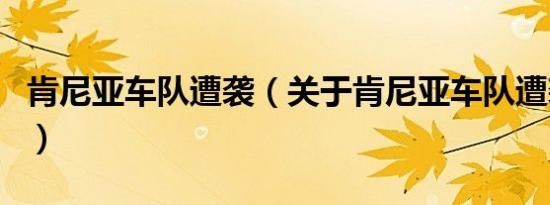 肯尼亚车队遭袭（关于肯尼亚车队遭袭的介绍）