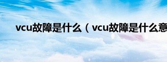 vcu故障是什么（vcu故障是什么意思）