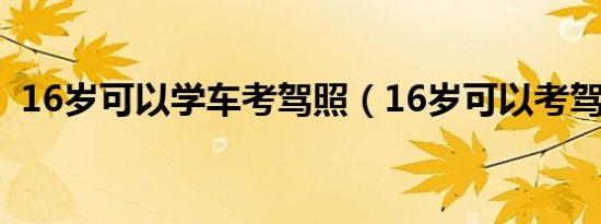 16岁可以学车考驾照（16岁可以考驾照么）