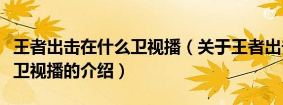 王者出击在什么卫视播（关于王者出击在什么卫视播的介绍）