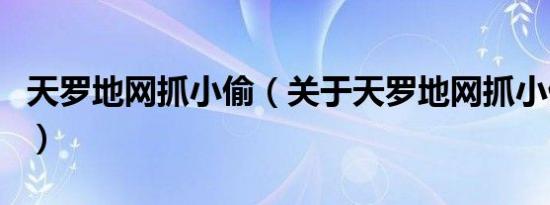 天罗地网抓小偷（关于天罗地网抓小偷的介绍）