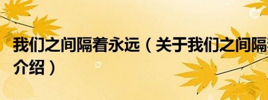 我们之间隔着永远（关于我们之间隔着永远的介绍）