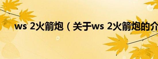 ws 2火箭炮（关于ws 2火箭炮的介绍）