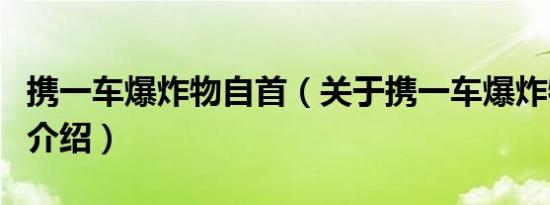 携一车爆炸物自首（关于携一车爆炸物自首的介绍）