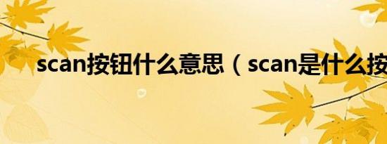 scan按钮什么意思（scan是什么按钮）