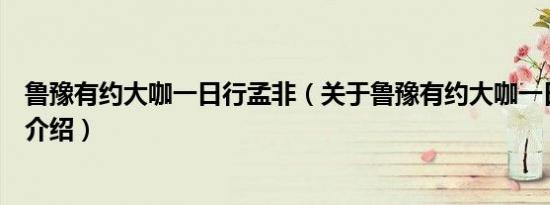 鲁豫有约大咖一日行孟非（关于鲁豫有约大咖一日行孟非的介绍）