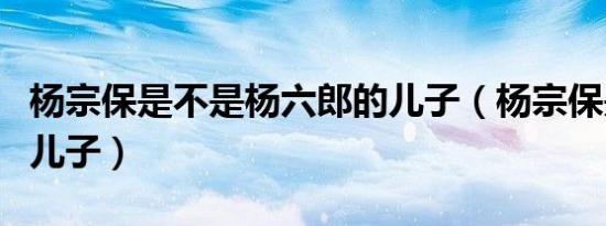 杨宗保是不是杨六郎的儿子（杨宗保是几郎的儿子）