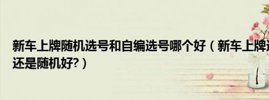 新车上牌随机选号和自编选号哪个好（新车上牌选号是自编还是随机好?）