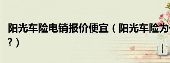 阳光车险电销报价便宜（阳光车险为什么便宜?）