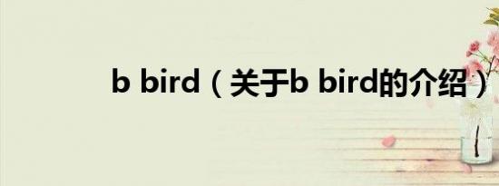 b bird（关于b bird的介绍）