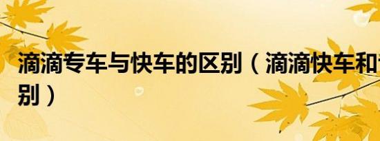 滴滴专车与快车的区别（滴滴快车和专车的区别）