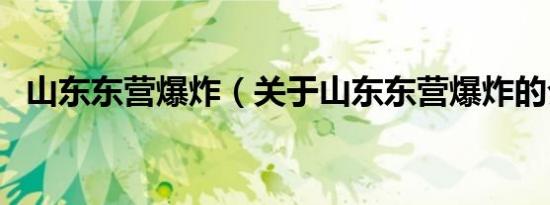 山东东营爆炸（关于山东东营爆炸的介绍）
