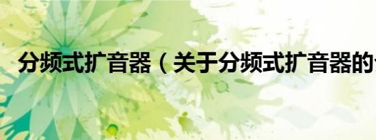 分频式扩音器（关于分频式扩音器的介绍）