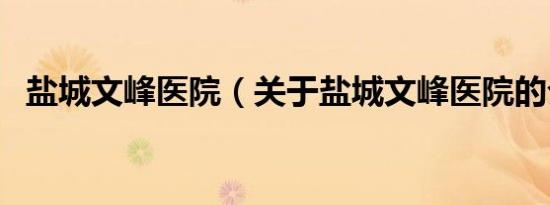 盐城文峰医院（关于盐城文峰医院的介绍）