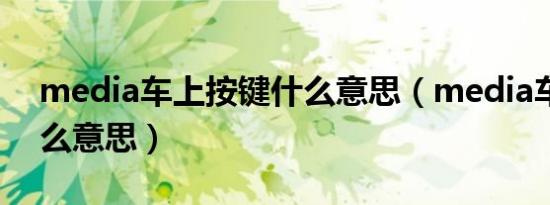media车上按键什么意思（media车上指什么意思）
